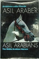 Arabiens edle pferde - edle, asil