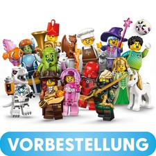 LEGO Minifigurenserie 29 -