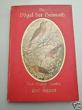 15 Tafeln Vögel der Heimat -  Emil Schmidt ca.1887 Ornithologie Vogelkunde