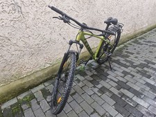 Trek Mountainbike Herren, Grün, 29 Zoll