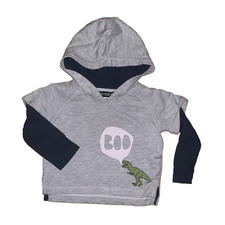 Hoodie Sweatshirt Dino Gr. 74 / 80 Pullover Babybekleidung Kapuze