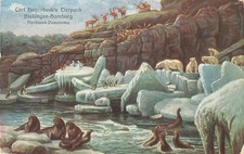 734806) AK Nordland Panorama