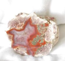 Achat ~~ Sternachat ~~