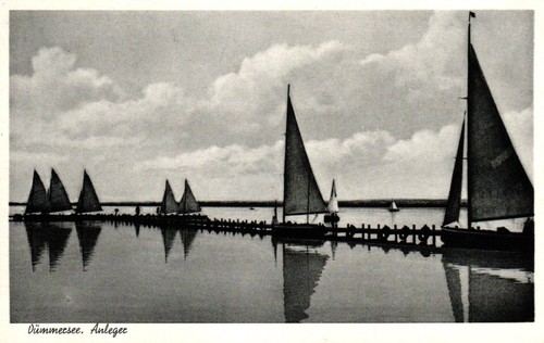 Dümmer see diepholz - dümmer, /