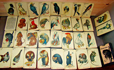 Schwarzer Peter Kartenspiel von Pix Otto Pech um 1920