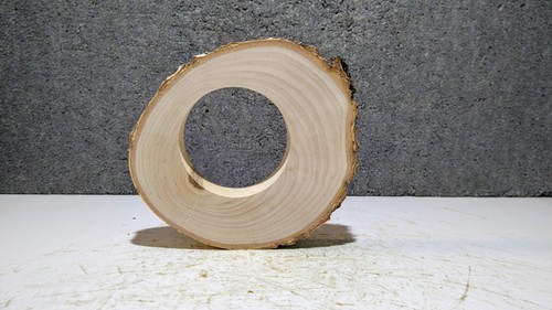 Baumscheibe holzscheibe mit - baumscheibe,, holzscheibe,mit