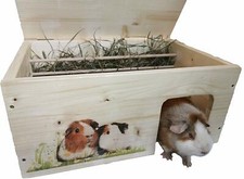 Meerschweinchenhaus XXL