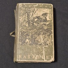 Halbblut Band 38 K.May Buch