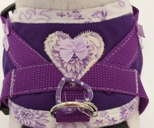 Softgeschirr  Brustgeschirr