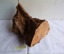 Olive Olivenholz Drechselholz