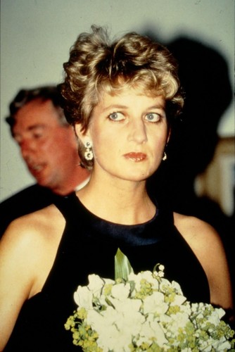 Dia lady diana original slide - diana,