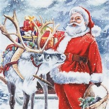 20 Servietten Santa with