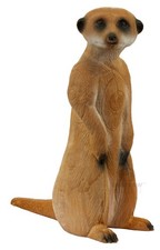 LongLife  Erdmännchen