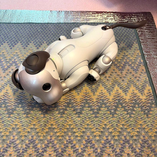 Sony aibo ers 1000 roboter - ers-1000,