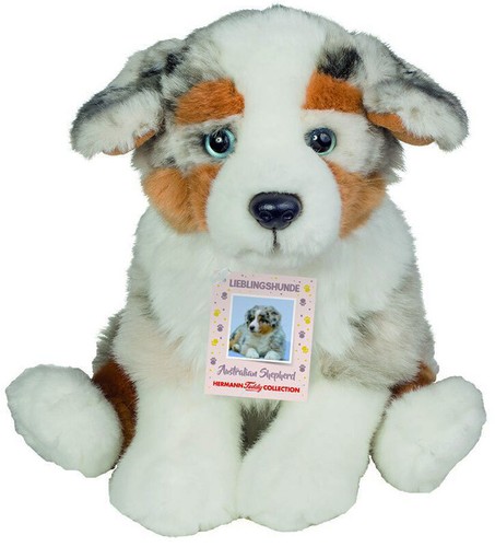Australischer shepherd von - shepherd,