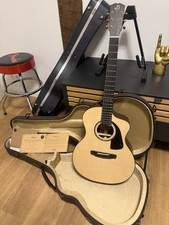 Dowina Infinity GAC Limited 40th Anniversary Pro Arte mit LR Baggs Anthem