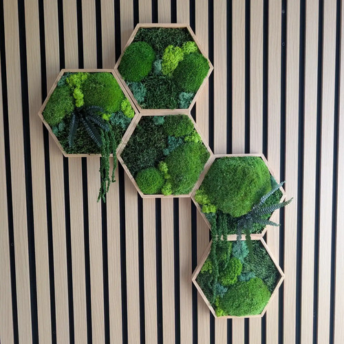 5er set moosbild hexagon - set,