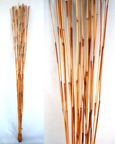 Bambus ast rohr stock bamboo - ast,