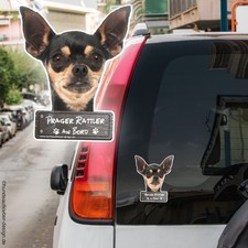 Prager Rattler an Bord