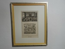 Orig. Kupferstich Denis