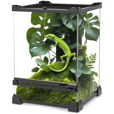 Mini-Reptilien-Glas-Terrarium