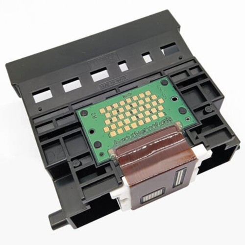 Qy6 0049 full color - full,