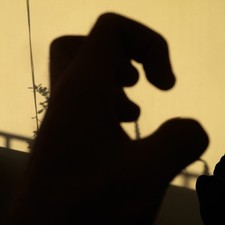 Suzan Peeters - Cassotto