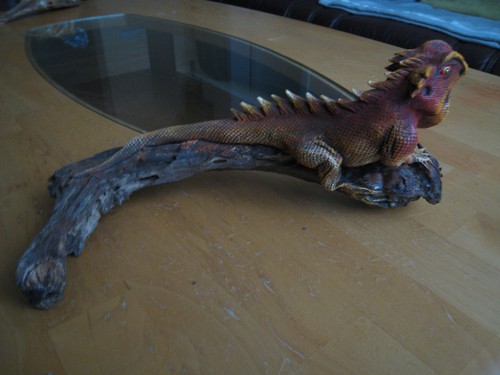 Leguan auf teak holz wurzel - teak,