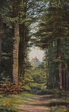 Eisenach Blick von der Hohensonne nach der Wartburg gl1926 D1016