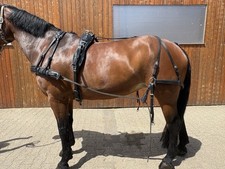 Kellinghusen Fahrgeschirr Einspänner   Pferd Warmblut, Schweres WB 