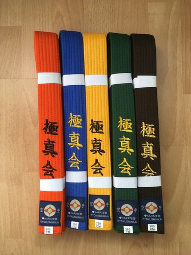 Kyokushin karate gürtel - kyokushin,