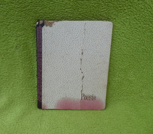 Altes poesiealbum mit oblaten - altes,