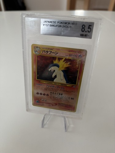Pokémon tornupto typhlosion - pokémon,