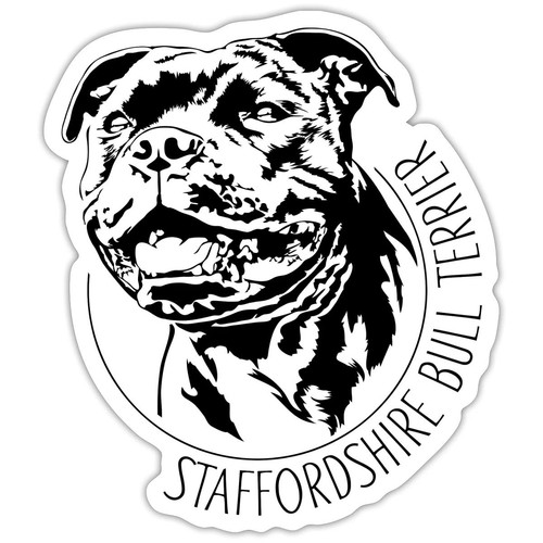 Staffordshire bull terrier - staffordshire,