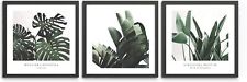 Bilder Set Plant 3x 30x30 cm mit Rahmen - Pflanzen Grün Monstera Palmen Blätter