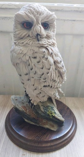 Country artists snowy owl - "snowy,