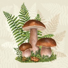 20 Servietten Boletus with Leaves of Fern Steinpilze Farn Pflanzen Wald 33x33cm