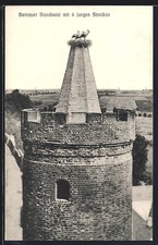 Ansichtskarte Bernau /Mark, Storchennest mit vier jungen Störchen auf Turm 