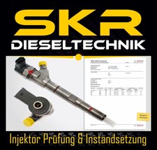 Bosch Einspritzdüse Injektor