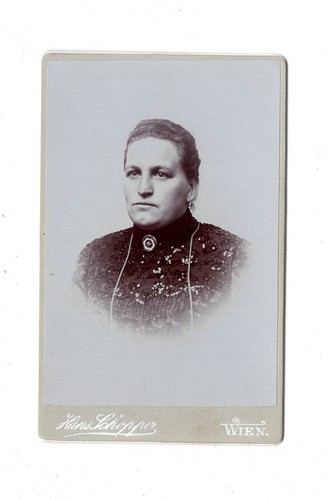 Cdv foto damenportrait wien - cdv,