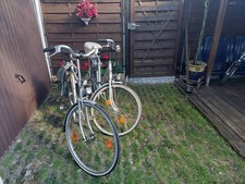 Kettler Alurad WINDSOR