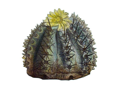 Kaktus brosche miniblings - kaktus,
