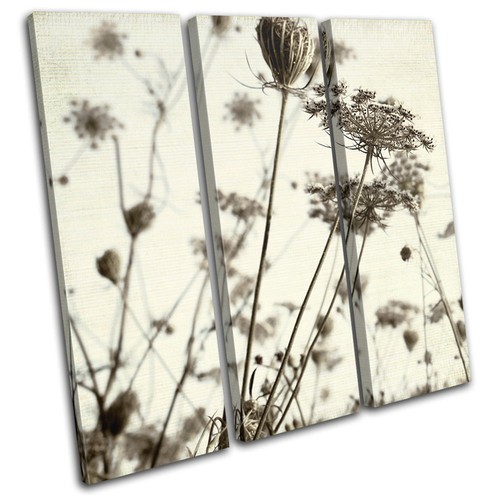 Plants floral meadow vintage - floral,