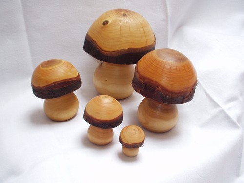 Deko pilze holz - deko-,