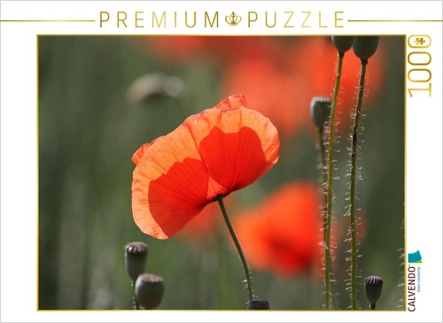 Calvendo puzzle mohnblumen - mohnblumen, |