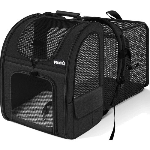 Haustier rucksack hund katze - haustier,