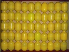 50 leere Ü-Ei Kapseln gelb