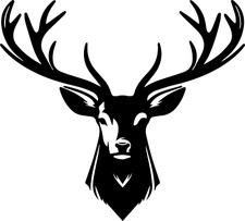 19 cm x 21 cm Hirsch Geweih