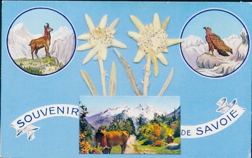Stoff savoie echtes - stoff,