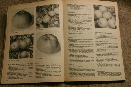 Fachbuch obstbau garten - fachbuch, im
